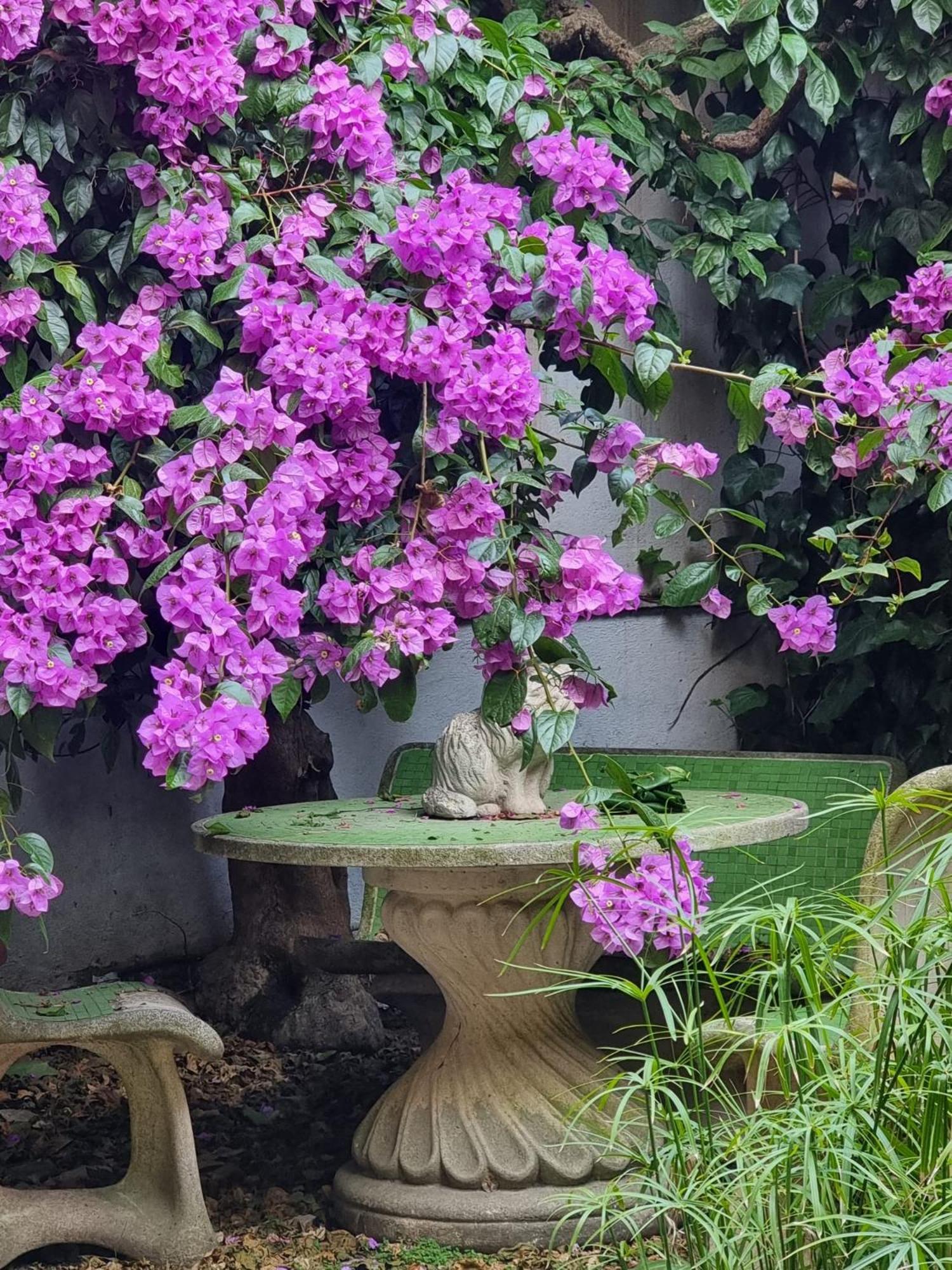 Vatican Fairytale Garden Rome Bagian luar foto